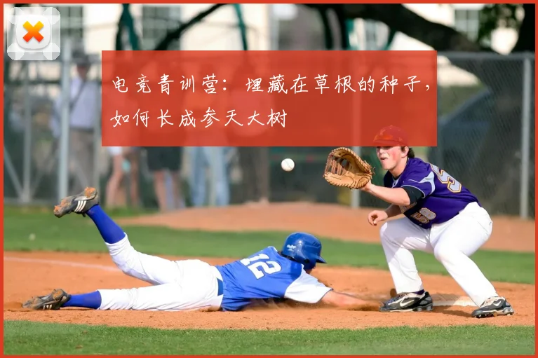电竞青训营：埋藏在草根的种子，如何长成参天大树