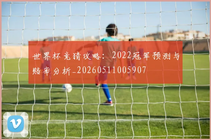 世界杯竞猜攻略：2022冠军预测与赔率分析_20260511005907